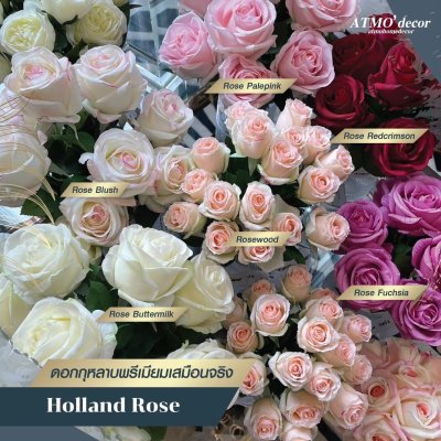 Holland and English Rose Vase