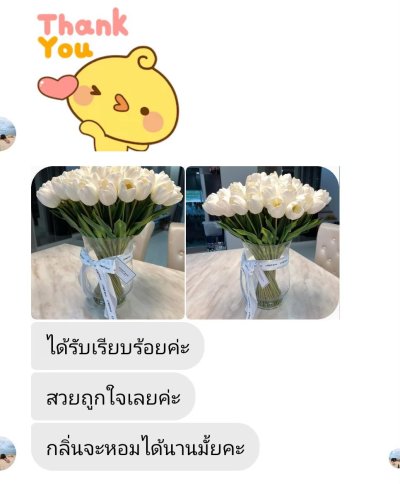 รีวิวและคำรับรองจากลูกค้า