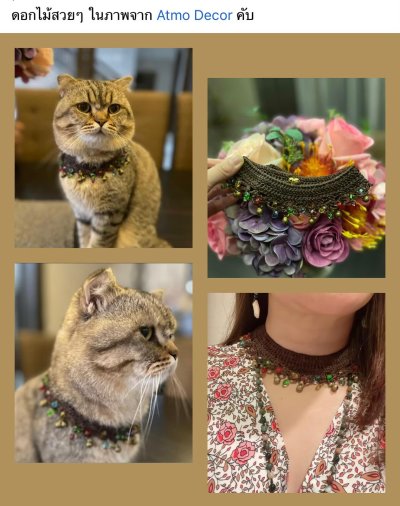 รีวิวและคำรับรองจากลูกค้า