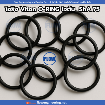 oring viton