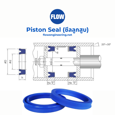 piston seal