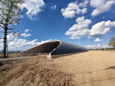 ธันวาคม 2568