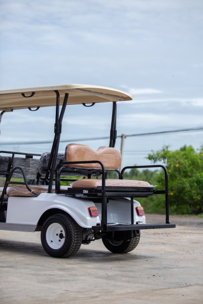 Club Car DS 4+2