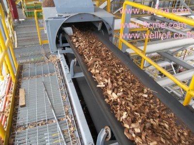 สายพานลำเลียง(Belt conveyor)
