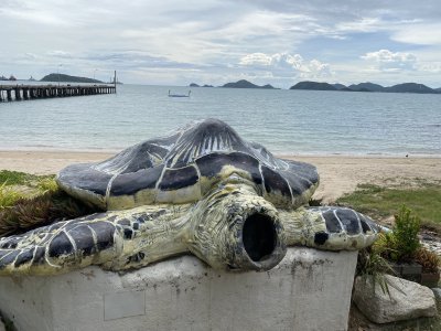 Sea Turtle Conservation Center Royal Thai Navy