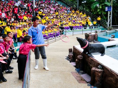ทัศนศึกษาระดับประถมศึกษาปีที่ 1-6 ณ ซาฟารีเวิลด์