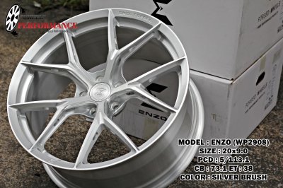 ENZO WP2908