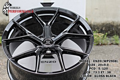 ENZO WP2908
