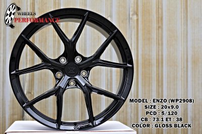 ENZO WP2908