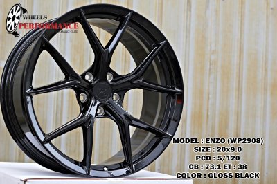 ENZO WP2908