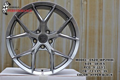 ENZO WP2908