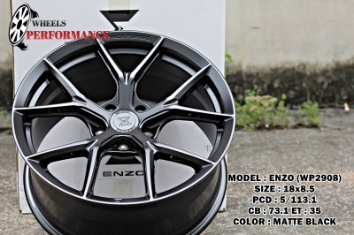 ENZO WP2908