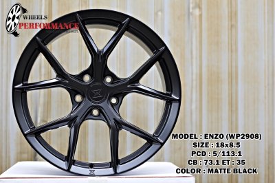 ENZO WP2908