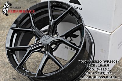 ENZO WP2908