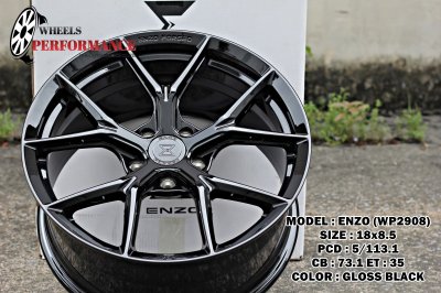 ENZO WP2908