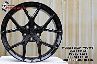 ENZO WP2908