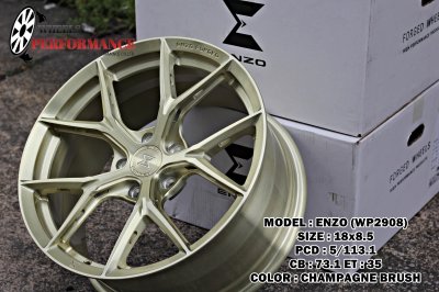 ENZO WP2908