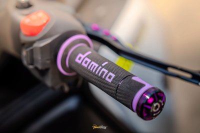 XMAX 300 WHITE PURPLE EDITION | งบ 75,XXX 