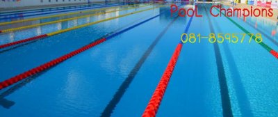 ลู่ สระว่ายน้ำ ทุ่น ตัดคลื่น 6 นิ้ว (15ซม.) มาตรฐาน 50 เมตร แข่งขัน 0818595778 lane rope line swimming pool anti wave floating 