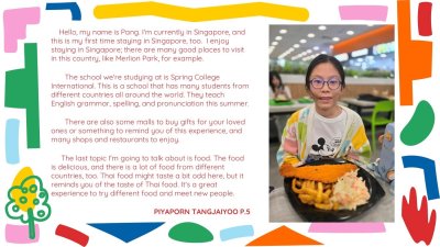 SINGAPORE SUMMER CAMP