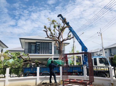 บ้านคุณอิ๋ว พุทธมณฑล