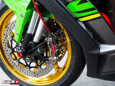 ZX10R GREEN COLOR