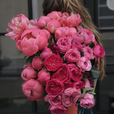 Follow us on facebook