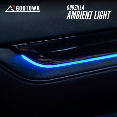 Alphard / Vellfire 30 Ambient Light ชุดเต็ม!!!