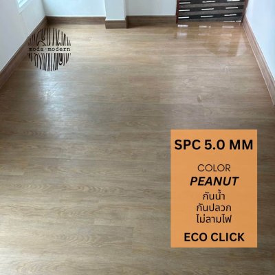 Eco Click 507 Peanut