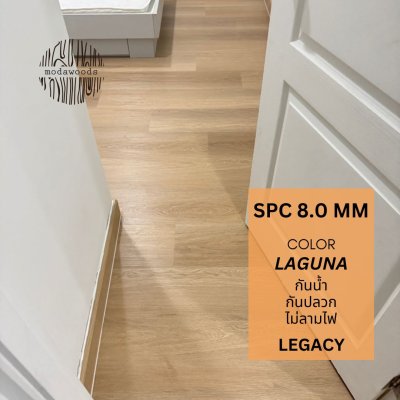 Legacy_8_0mm_สี_laguna