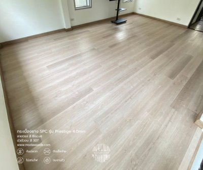Prestige_4_0mm_สี_Biscuit