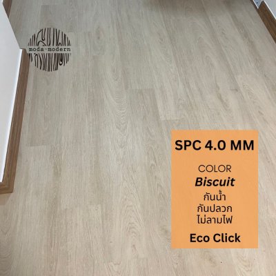 SPC Click lock สี Biscuit
