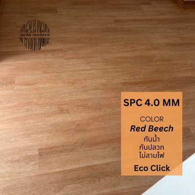 SPC Click lock สี Red Beech