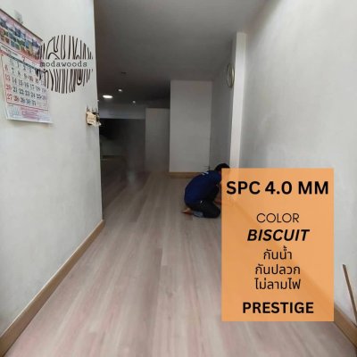 SPC Prestige 4.0mm Biscuit