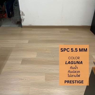 SPC_Prestige_5_5mm_สี_Laguna