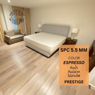 SPC_รุ่น_Prestige_5_5mm_Espresso