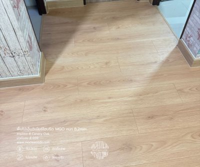 Canary_oak_เอ็นจิเนียร์ไฮบริด
