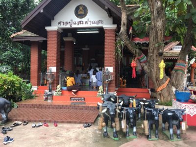 ทริป VIP กรุงเทพ-ลำปาง-เชียงใหม่