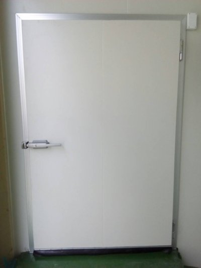 Cold Room Swing Door