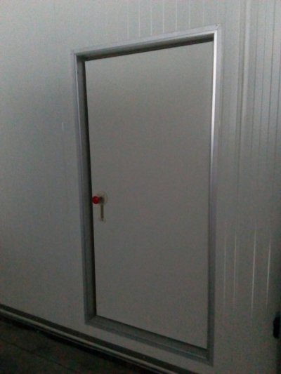 Cold Room Swing Door