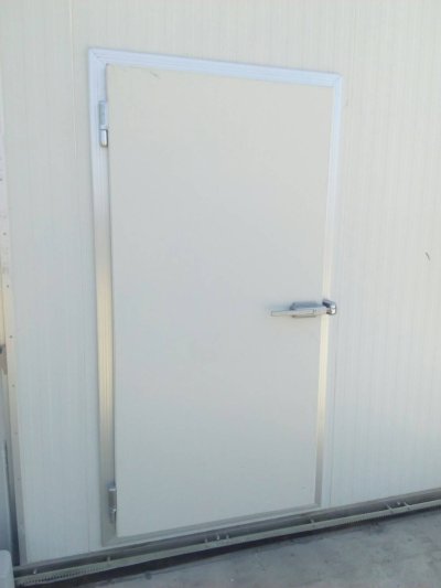 Cold Room Swing Door