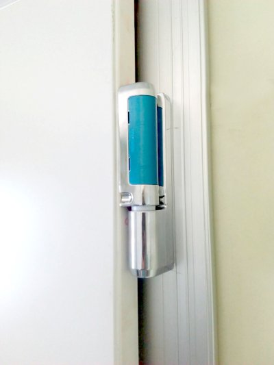 Cold Room Swing Door