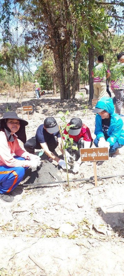 โครงการปลูกป่า ลดภาวะโลกร้อนปี 3 ณ ป่าชุมชนบ้านหนองปลิง ตำบลทุ่งกระบ่ำ อำเภอเลาขวัญ จังหวัดกาญจนบุรี