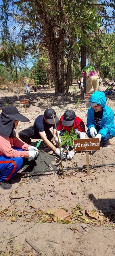โครงการปลูกป่า ลดภาวะโลกร้อนปี 3 ณ ป่าชุมชนบ้านหนองปลิง ตำบลทุ่งกระบ่ำ อำเภอเลาขวัญ จังหวัดกาญจนบุรี