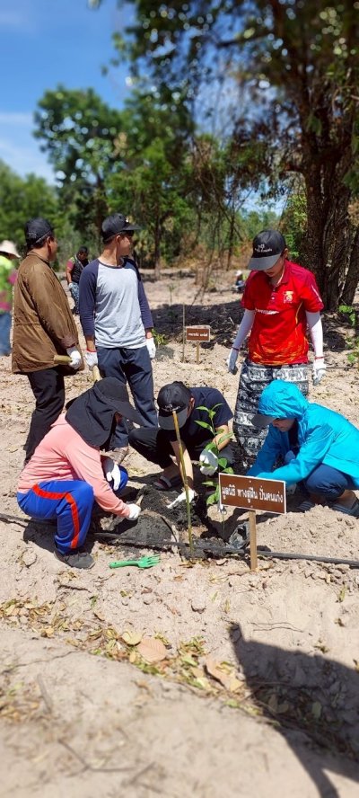 โครงการปลูกป่า ลดภาวะโลกร้อนปี 3 ณ ป่าชุมชนบ้านหนองปลิง ตำบลทุ่งกระบ่ำ อำเภอเลาขวัญ จังหวัดกาญจนบุรี