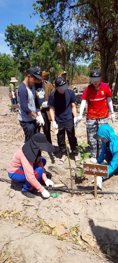 โครงการปลูกป่า ลดภาวะโลกร้อนปี 3 ณ ป่าชุมชนบ้านหนองปลิง ตำบลทุ่งกระบ่ำ อำเภอเลาขวัญ จังหวัดกาญจนบุรี