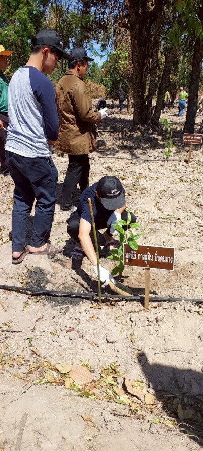 โครงการปลูกป่า ลดภาวะโลกร้อนปี 3 ณ ป่าชุมชนบ้านหนองปลิง ตำบลทุ่งกระบ่ำ อำเภอเลาขวัญ จังหวัดกาญจนบุรี
