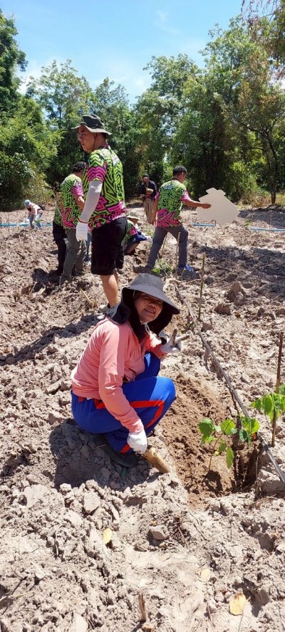 โครงการปลูกป่า ลดภาวะโลกร้อนปี 3 ณ ป่าชุมชนบ้านหนองปลิง ตำบลทุ่งกระบ่ำ อำเภอเลาขวัญ จังหวัดกาญจนบุรี