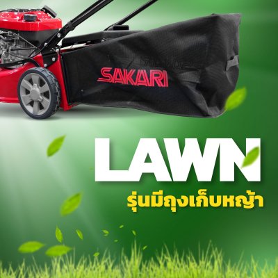 LAWN