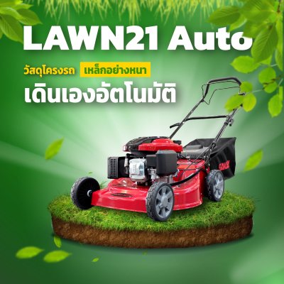 LAWN